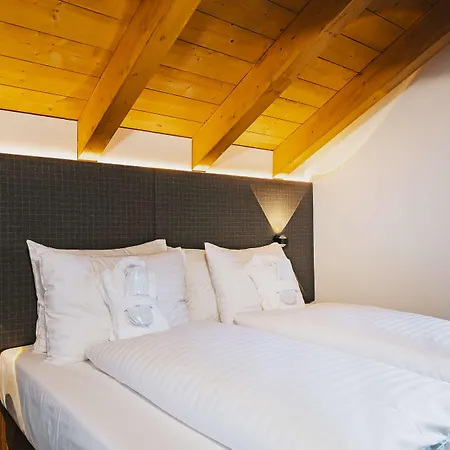 公寓式酒店 Elements Zell Am See; Bw Signature Collection 滨湖采尔