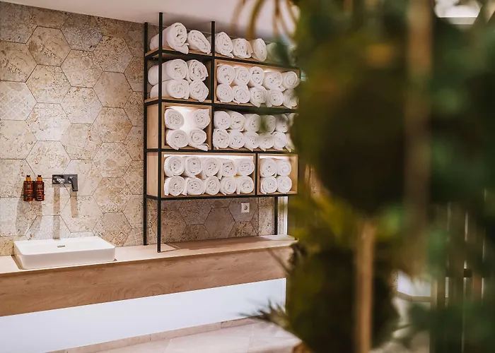 Elements Zell Am Ξενοδοχείο με διαμερίσματα