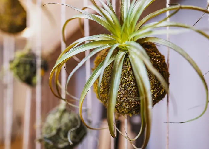 Elements Zell Am Ξενοδοχείο με διαμερίσματα Τσελ αμ Ζέε