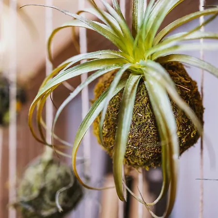 Elements Zell Am Апарт-отель Целль-ам-Зе